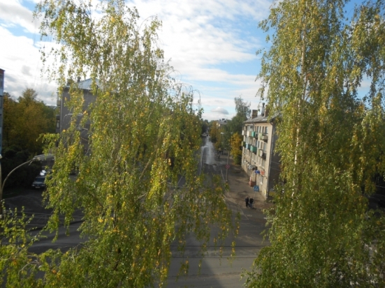 До +15°С ожидается 15 сентября в Великих Луках - 2017-09-14 22:02:00 - 1