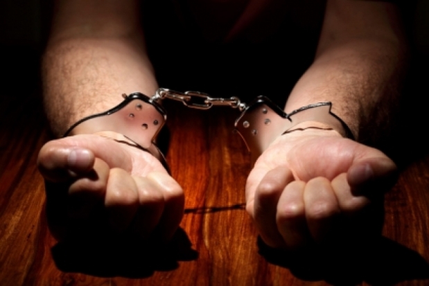 В Бежаницах задержан убийца молодой девушки. Он встретил ее на тропинке... - 2016-12-22 11:35:00 - 1