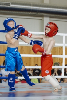 ФОТОрепортаж: турнир по кикбоксингу в Великих Луках - 2018-04-23 10:16:00 - 1