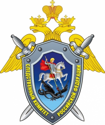Великолукский следственный отдел СУ СК РФ по Псковской области рассказал о своей работе: итоги 2017 года - 2018-01-26 16:43:00 - 1