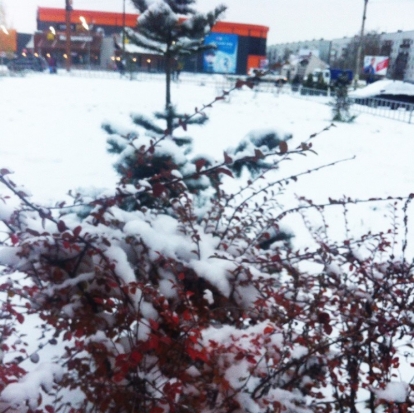 Завтра в Великих Луках в течение дня похолодает до -4°С - 2016-12-01 22:02:00 - 1