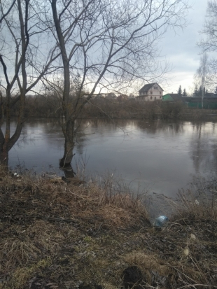 В связи с началом сезона охотников просят помочь с поисками тела девочки, утонувшей в Великолукском районе: смотрите по берегам и в воде! - 2018-04-13 17:03:00 - 1