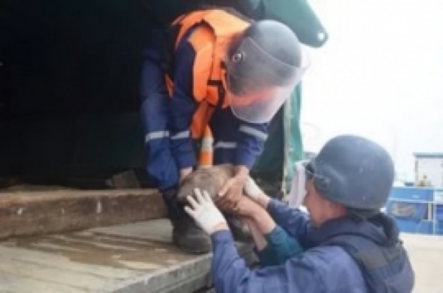 Великолукские саперы обезвредили взрывоопасный предмет в Новосокольниках - 2017-09-26 21:38:00 - 1