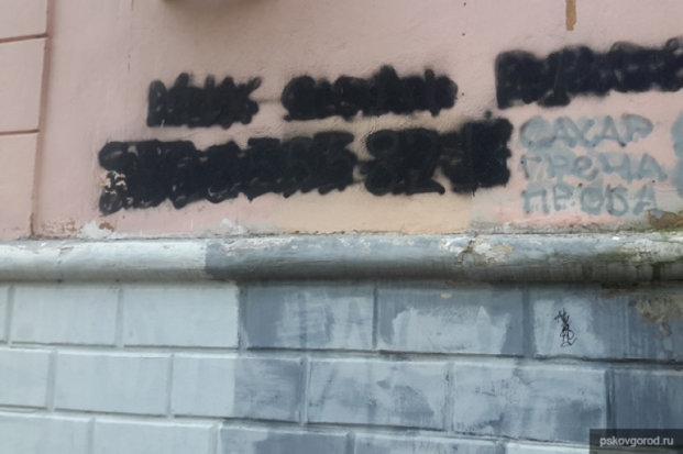 Администрация Пскова обратилась в полицию по факту объявлений-граффити с призывом к употреблению наркотиков - 2017-08-31 17:15:00 - 1