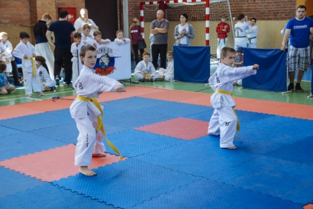 ФОТОрепортаж: Чемпионат и Первенство Псковской области по тхэквондо в Великих Луках - 2018-05-28 11:24:00 - 1