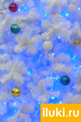 Москвичка украла новогоднюю елку - 2016-12-29 09:35:00 - 1