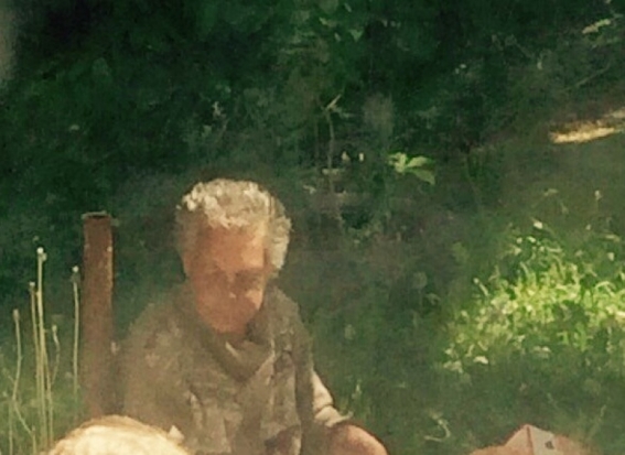 Внимание, Псков и область! Возможно, данную женщину разыскивают родственники (ФОТО) - 2018-05-29 18:52:00 - 1