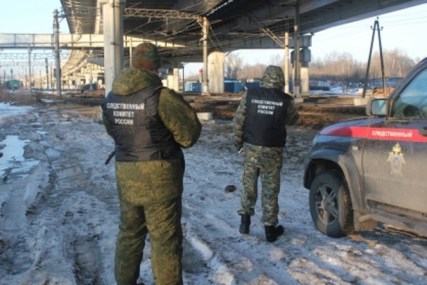 В Санкт-Петербурге рядом с железнодорожными путями нашли тело замерзшего мужчины - 2017-01-12 16:49:00 - 1