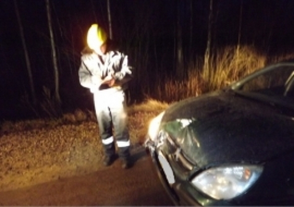 В Гдовском районе автомобиль сбил пешехода - 2016-11-01 21:56:00 - 1