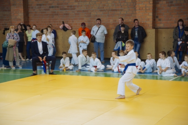 ФОТО: соревнования по каратэ версии WKF в Великих Луках - 2018-05-21 10:47:00 - 1