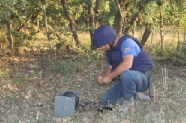 В Пыталовском районе саперы обезвредили взрывоопасный предмет - 2017-07-11 06:07:00 - 1