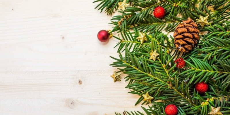 Чем опасны браконьерские елки? - 2020-12-29 16:43:00 - 1