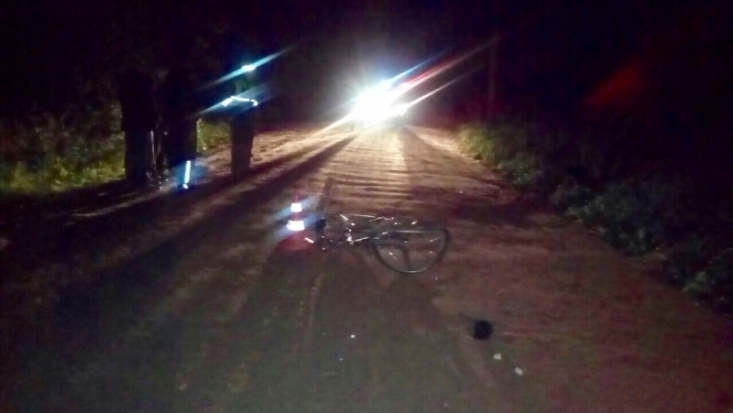 Мотоциклист покалечил велосипедиста и скрылся с места ДТП: авария в Новосокольническом районе - 2016-10-11 22:30:00 - 1