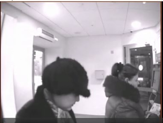 Дновской полиции требуется помощь граждан по розыску воровок банковской карты - 2017-01-15 14:04:00 - 1