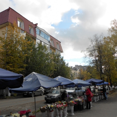 В субботу в Великих Луках ожидается до +10°С - 2017-10-06 22:02:00 - 1