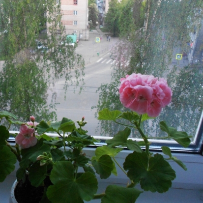 Завтра в Великих Луках ожидается до +21°С - 2017-05-28 22:02:00 - 1