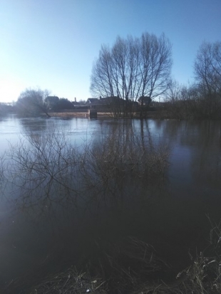 Продолжаются поиски тела девочки, утонувшей в Великолукском районе. Нужна помощь добровольцев! - 2018-04-15 13:56:00 - 1