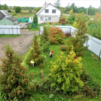 Завтра в Великих Луках в течение суток ожидается от +7 до +9°С - 2017-10-11 22:02:00 - 1