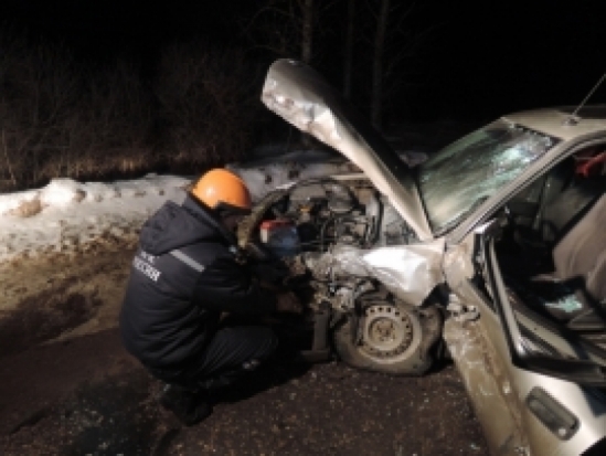 На 11-м километре трассы Шимск – Невель столкнулись два легковых автомобиля - 2017-02-28 06:52:00 - 1