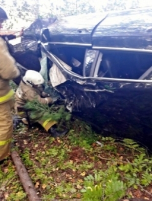 Два легковых авто попали в аварию на 425-м километре федеральной трассы М-9 «Балтия» - 2017-09-06 19:34:00 - 1
