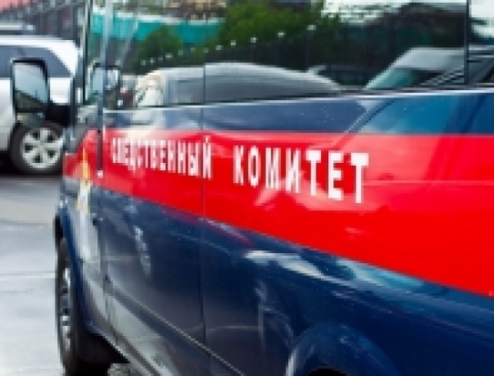 В Оренбурге мужчина из окна стрелял из пневматического оружия по детям - 2017-04-14 14:13:00 - 1