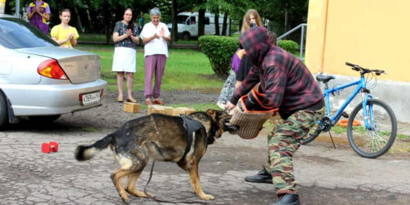 В Пскове открылся лагерь труда и отдыха «Юный спецназовец» - 2024-06-04 12:05:00 - 1