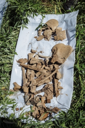 ФОТОрепортаж: под Великими Луками нашли останки нескольких бойцов Великой Отечественной войны - 2018-05-28 16:26:00 - 1