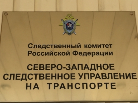 В Санкт-Петербурге после происшествия в аэропорту Пулково возбуждено еще два уголовных дела - 2017-10-03 08:48:00 - 1