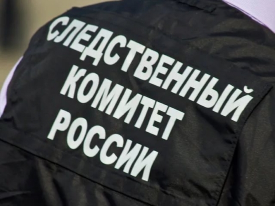 В Псковской области следователи выясняют обстоятельства получения мужчиной огнестрельного ранения - 2017-10-02 18:26:00 - 1