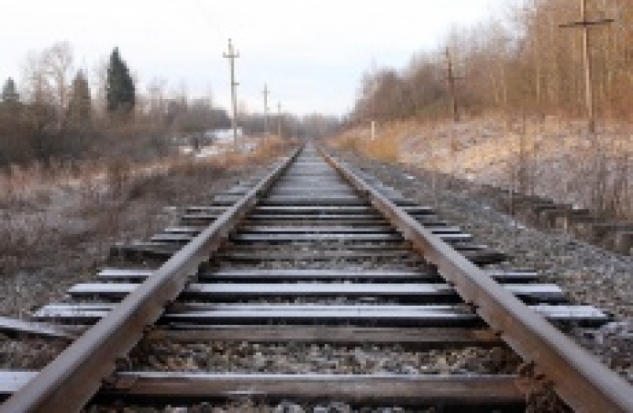 Проводится проверка по факту смерти человека на перегоне Великие Луки – Воробецкая - 2017-01-16 17:08:00 - 1