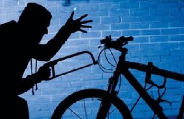 В Великих Луках безработный мужчина подозревается в краже имущества - 2016-12-19 15:33:00 - 1