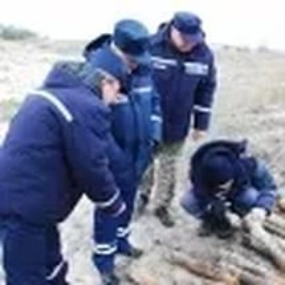 Псковские саперы разминировали «военную посылку» в Острове - 2017-03-24 19:38:00 - 1