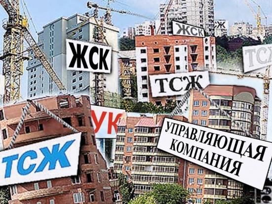 Выбирать управляющую организацию будут жители нескольких улиц Великих Лук - 2017-11-08 06:58:00 - 1