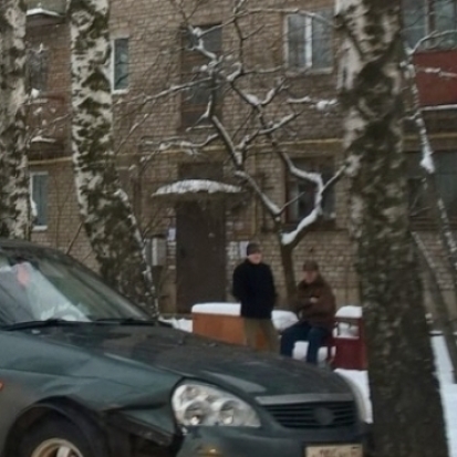 ФОТОфакт: здравствуй, дерево - 2017-01-16 16:05:00 - 1