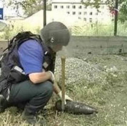 Псковские саперы выезжали на разминирование в деревню Знаменка - 2017-07-16 18:24:00 - 1