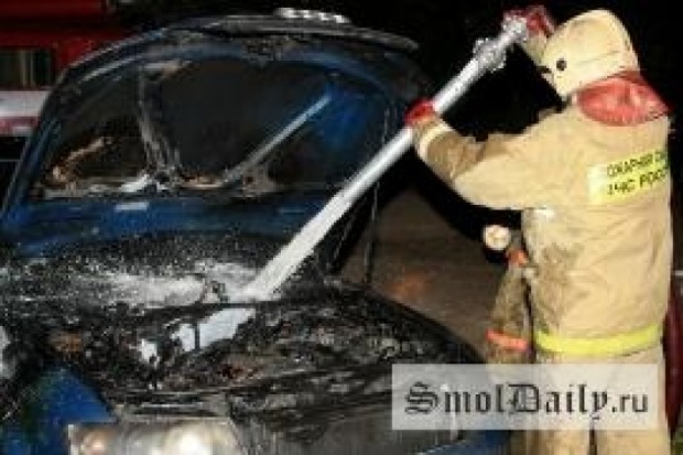 На улице Меркурьева в Острове огнем поврежден автомобиль - 2016-10-30 08:17:00 - 1