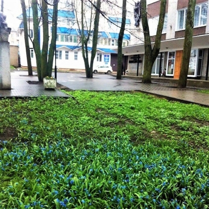 30 апреля в Великих Луках ожидается до +22°С - 2018-04-29 22:02:00 - 1