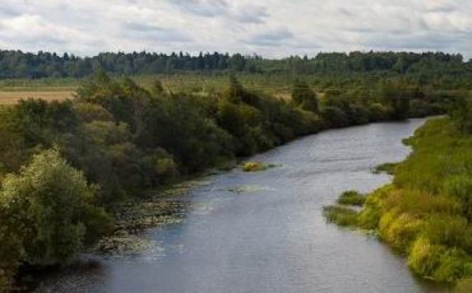 Из реки Шелонь достали утопленника - 2016-09-23 13:34:00 - 1