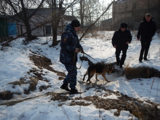 Служебная собака нашла преступника по рукавице - 2017-01-12 11:59:00 - 1