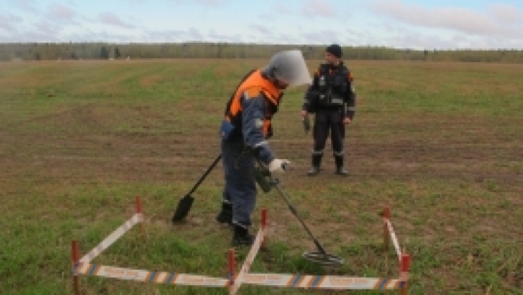 В Псковском районе обезврежено три взрывоопасных предмета времен ВОВ - 2017-05-10 19:13:00 - 1