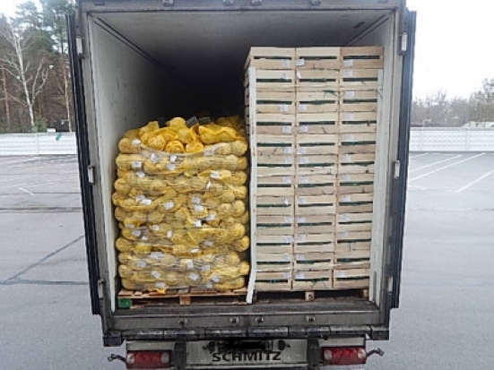 В Великих Луках задержано более 19 тонн «санкционной» плодовоовощной продукции - 2017-11-14 18:02:00 - 1