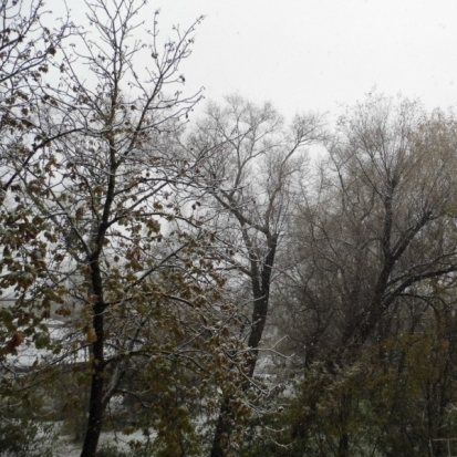 Завтра днем ожидается до +3°C - 2016-10-31 21:19:00 - 1