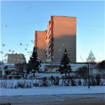 Сегодня в Великих Луках ожидается до -5°С - 2017-01-11 06:36:00 - 1