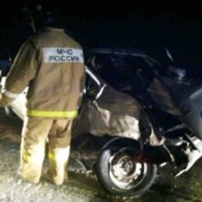 В Стругокрасненском районе в ДТП попала легковушка - 2016-10-21 00:53:00 - 1