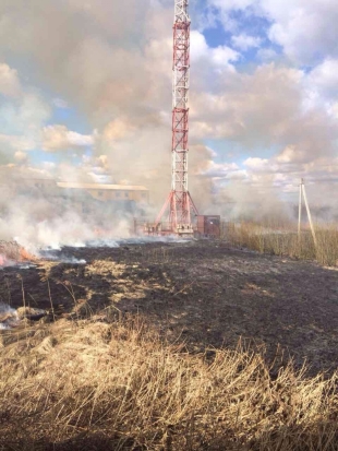 Дружба в дыму: второй большой пал травы в Великих Луках (ФОТО) - 2017-03-30 11:52:00 - 1