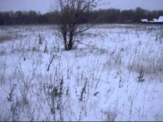 На охоте в Себежском районе подстрелили охотника - 2016-12-12 15:38:00 - 1