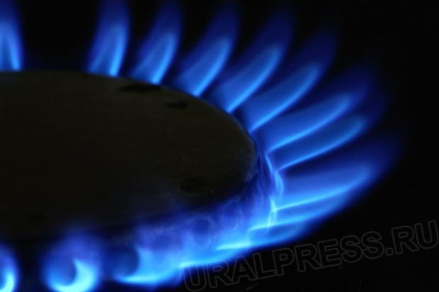 В Великих Луках пройдут рейды по проверке газового оборудования - 2016-11-15 10:26:00 - 1