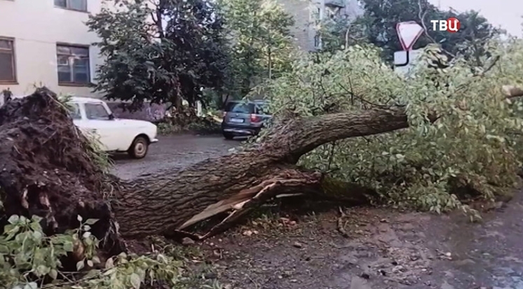 На Тверскую область обрушился разрушительный ураган (ФОТО) - 2017-08-05 13:36:00 - 1