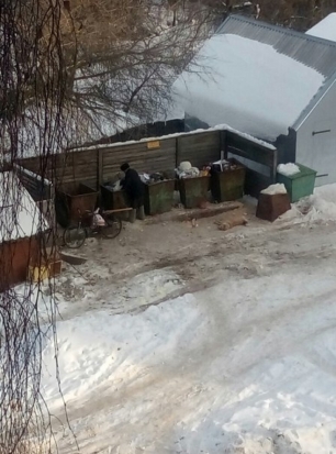 В Невеле массово гибнут собаки. Догхантеры или эпидемия? - 2017-02-07 11:59:00 - 1