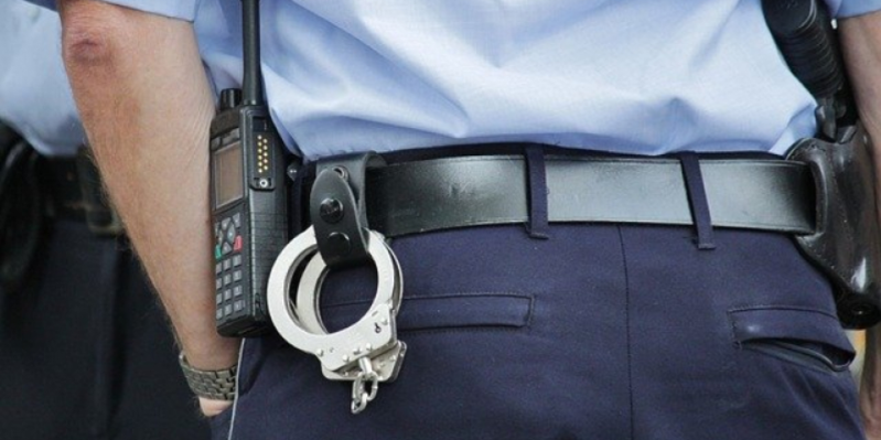 В Куньинском районе украли забор, а в Гдовском - строительные леса - 2020-12-29 15:13:00 - 1